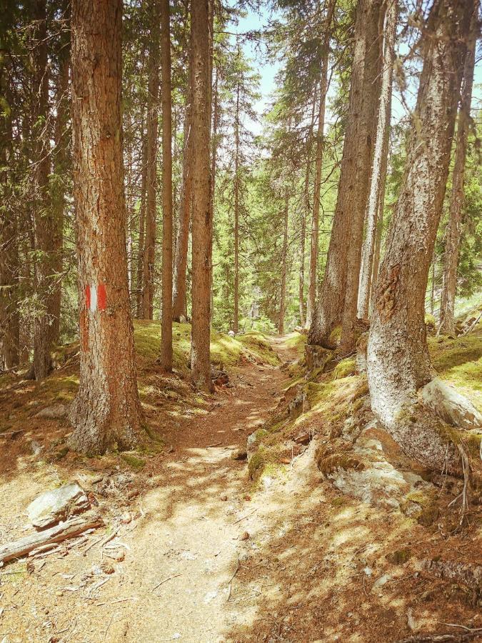 Das K - Dei "Hoamatl" Im Oetztal Dış mekan fotoğraf