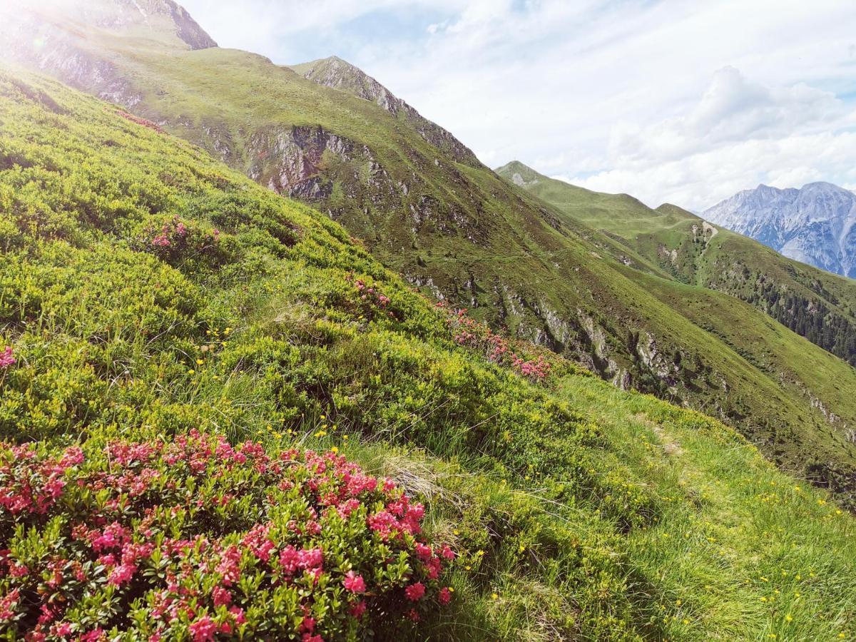 Das K - Dei "Hoamatl" Im Oetztal Dış mekan fotoğraf